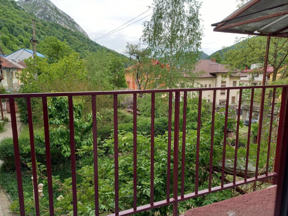 Hotel Elite Băile Herculane Eksteriør bilde